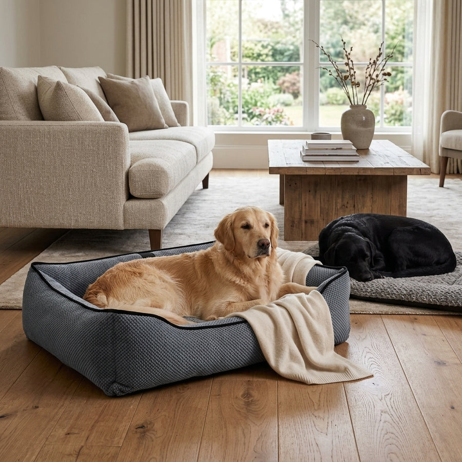 Textured plush dog bed with dark gray sides and cushioned base, tan dog resting inside