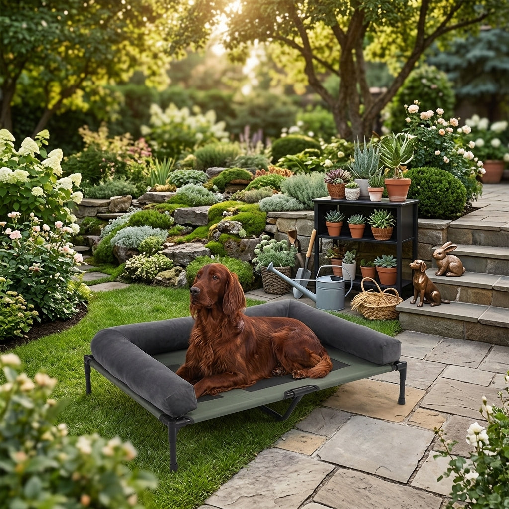 Elevated cooling dog bed with dark gray cushion; brown dog resting on raised cot