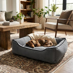 Textured plush dog bed in dark gray with black trim; brown dog lying down on top.