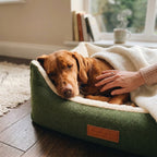 Green sherpa pet nest bed with brown dog resting on cream cushion and a hand petting