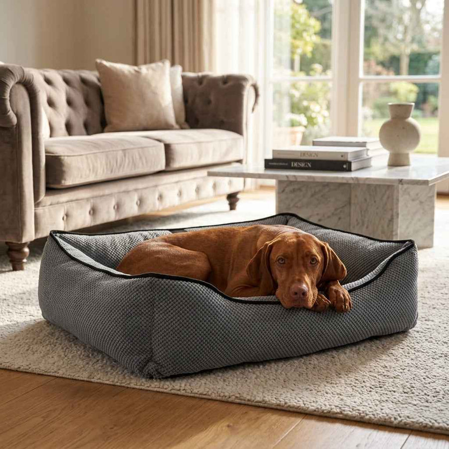 Textured plush dog bed in dark gray with black trim; brown dog lying near the edge.