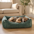 Green corduroy orthopaedic pet bed with cushioned bolsters and textured fabric; dog resting
