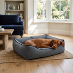Textured plush dog bed in dark gray with black trim; reddish-brown dog lying on its belly.