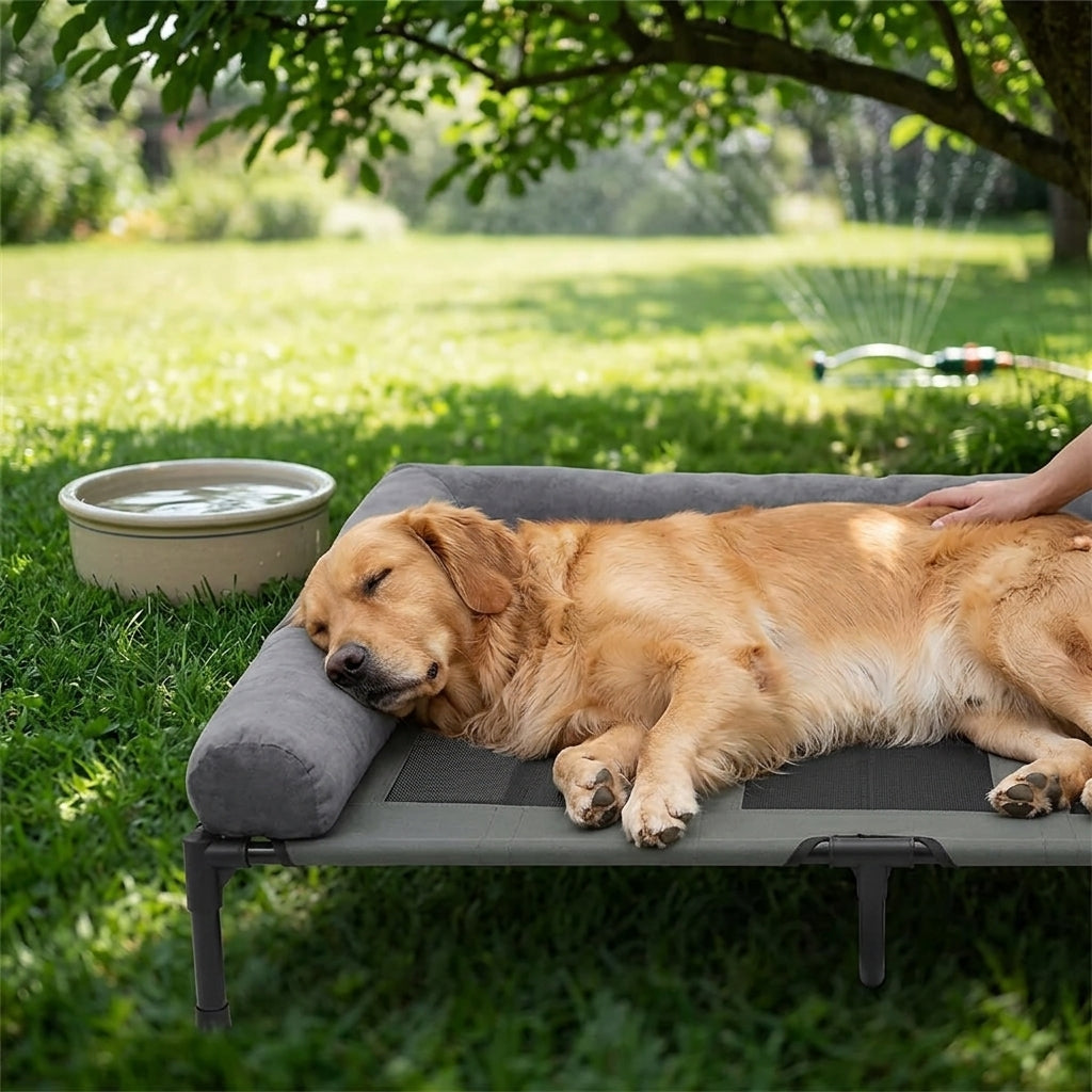 Gray padded raised dog cooling cot with resting golden retriever in grass.